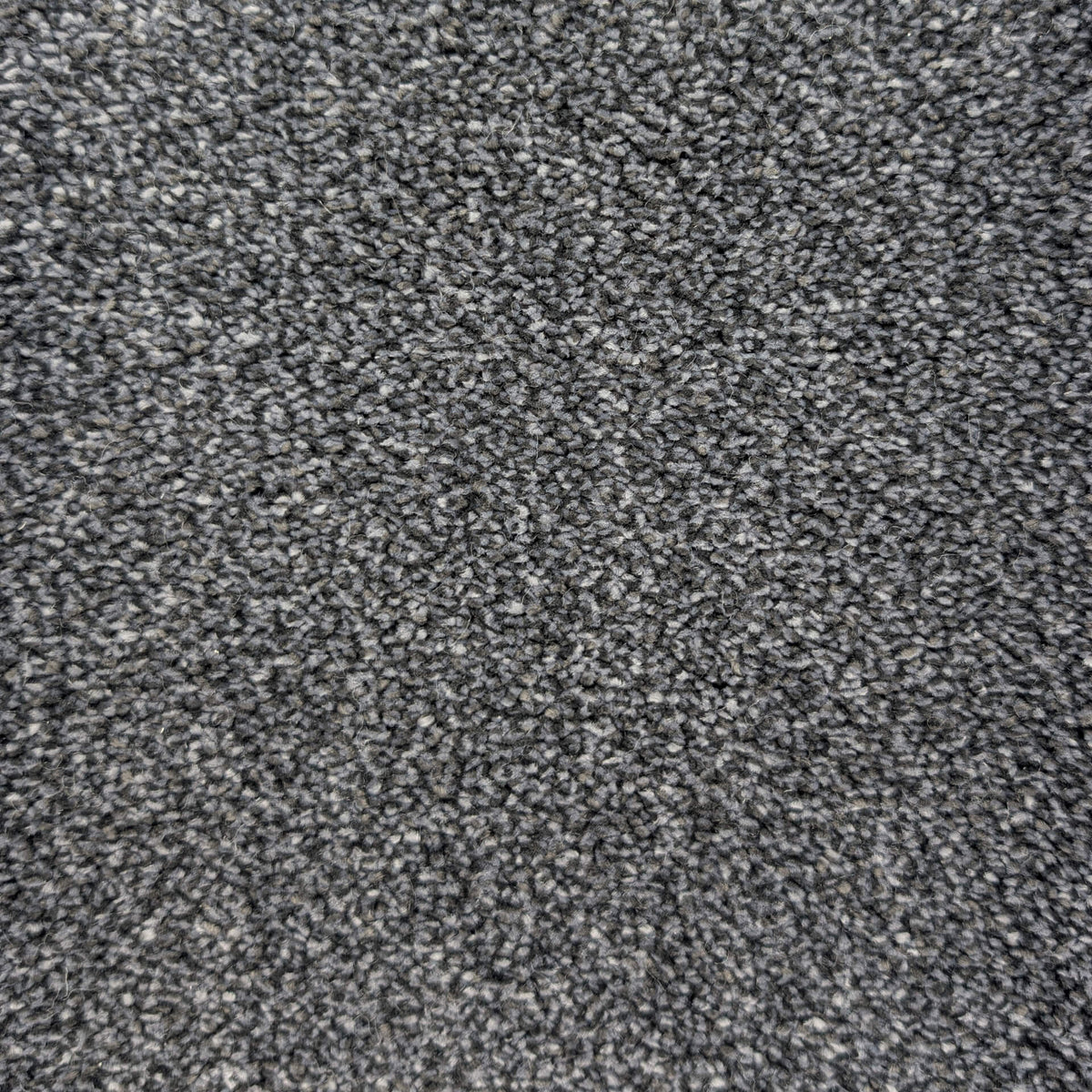 Caress Luxury carpet - 77 Basalt