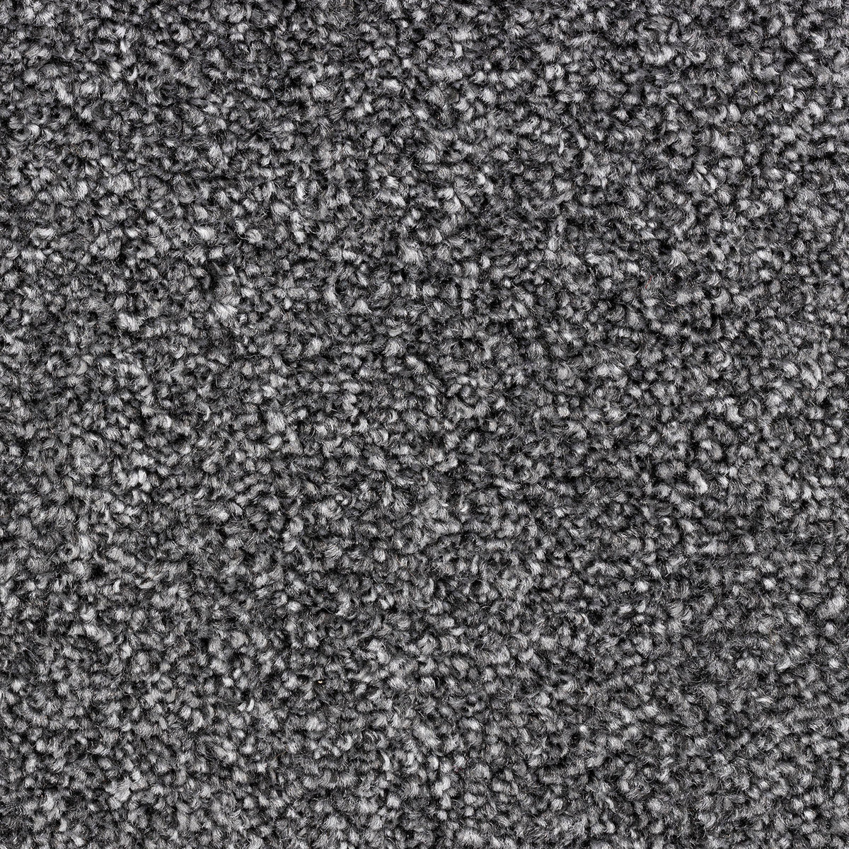 Modena carpet - 78 Iron Mountain