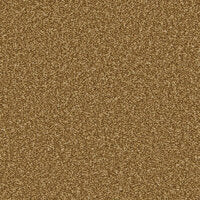 Cormar Apollo Plus Carpet - Budget-Friendly Quality