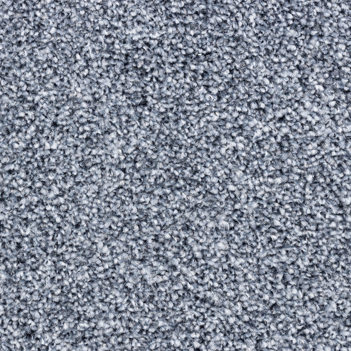 Modena carpet - 80 Blue Ridge