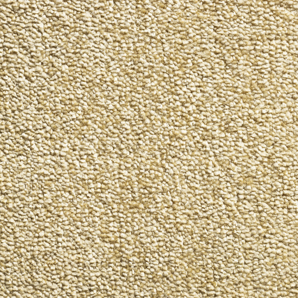 Jamaica carpet - 150 Spiced Ocre