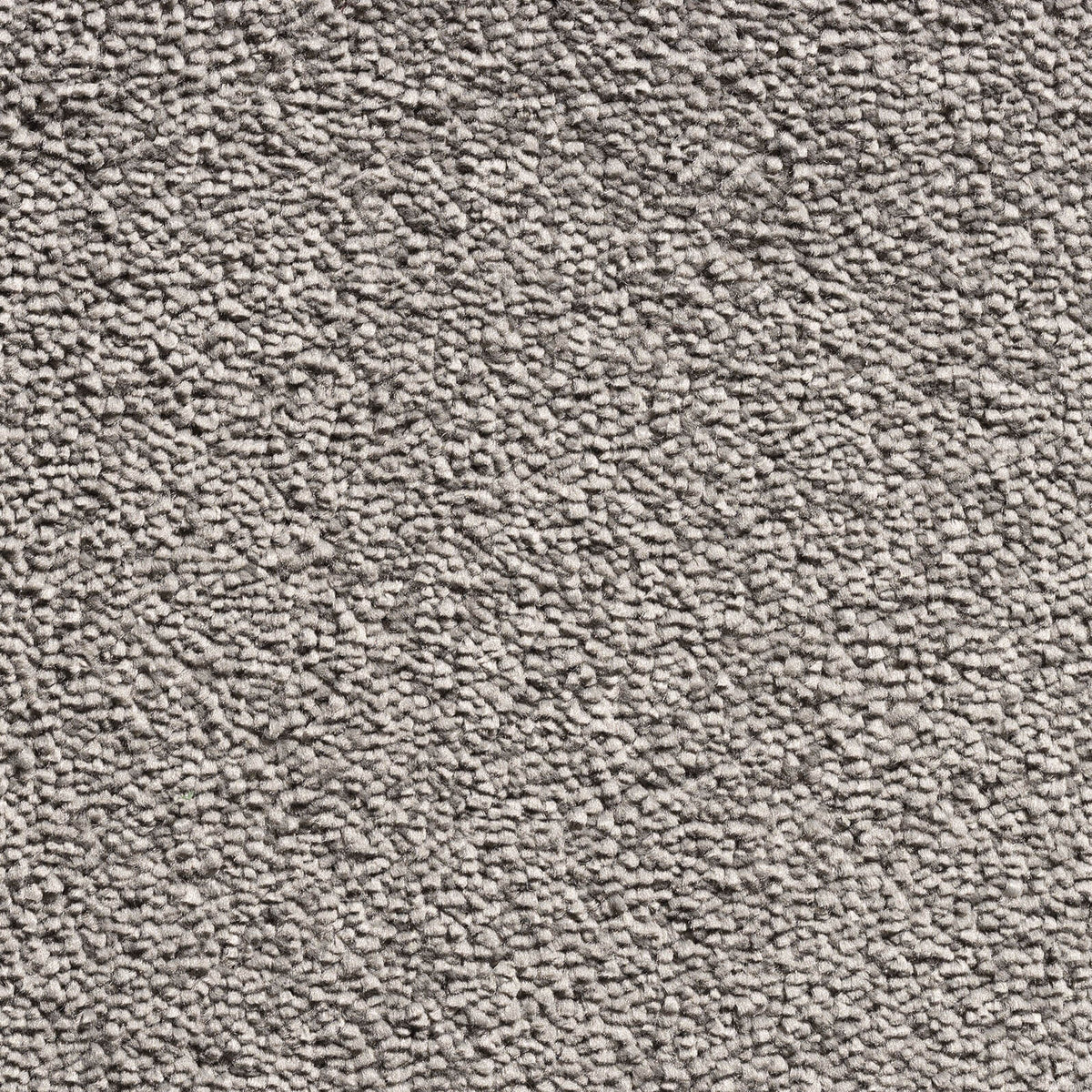 Jamaica carpet - 179 Porcino