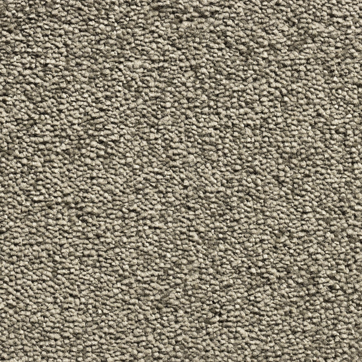 Jamaica carpet - 240 Grolive