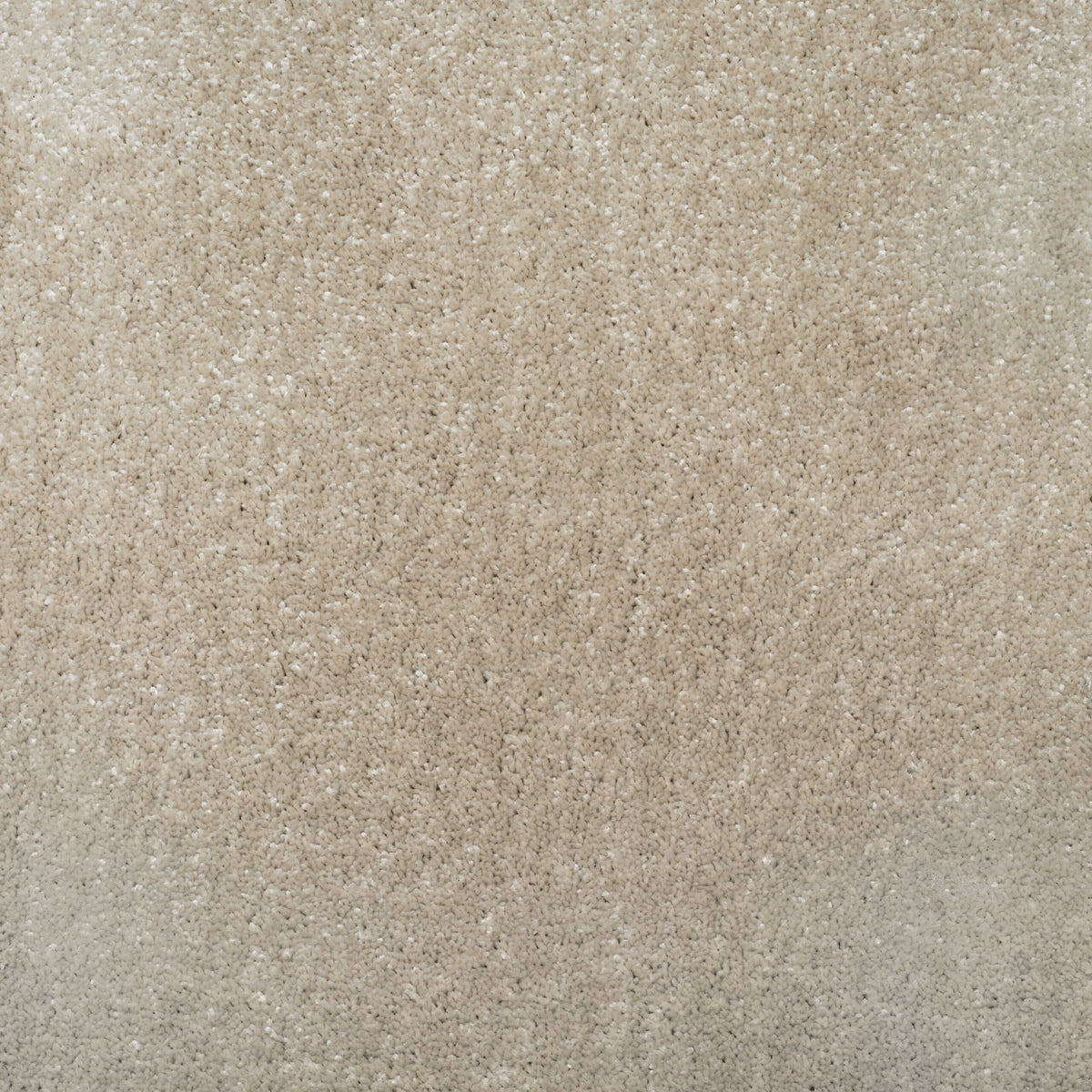 Noble Soft carpet - 01 Thistle