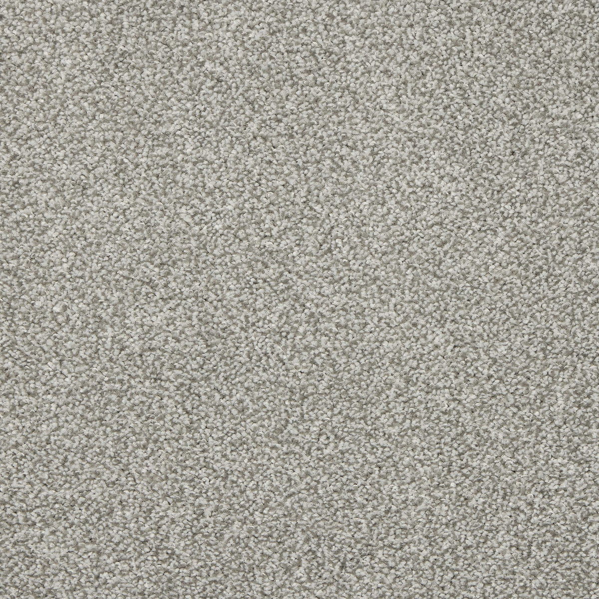Noble Soft carpet - 02 Elephant Dust
