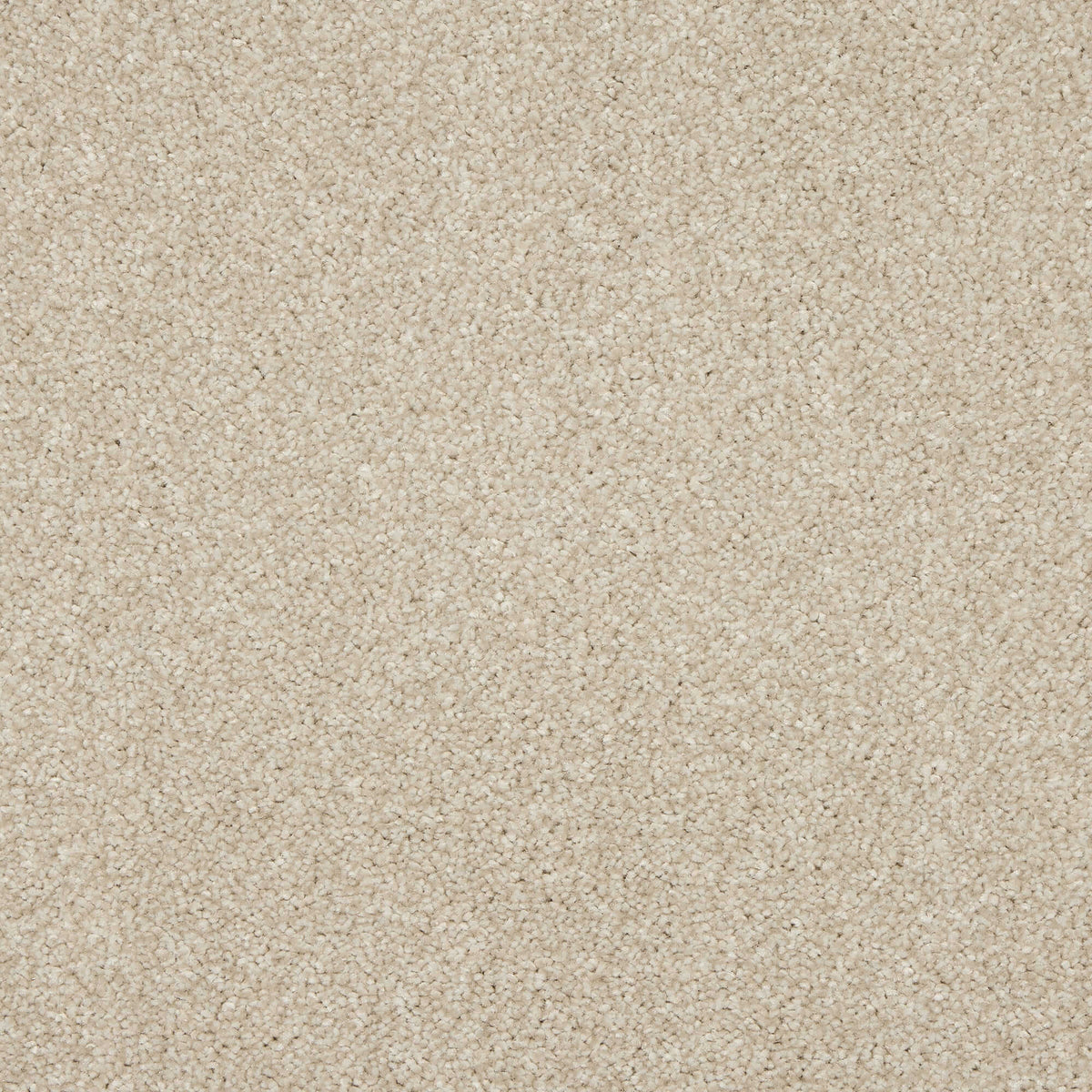 Noble Soft carpet - 03 Clay Ridge