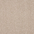 Noble Soft carpet - 06 Feather