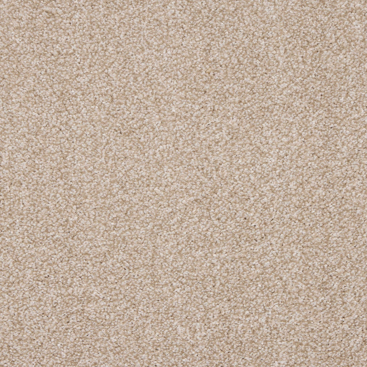 Noble Soft carpet - 06 Feather
