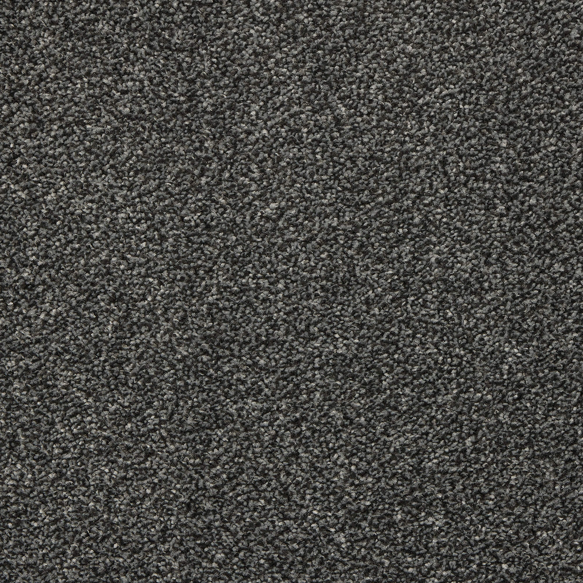 Noble Soft carpet - 07 Rhino Ash