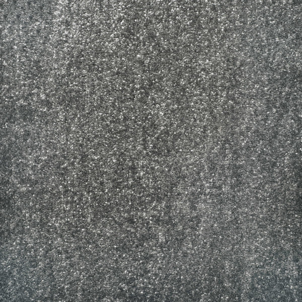 Noble Soft carpet - 08 Platinum