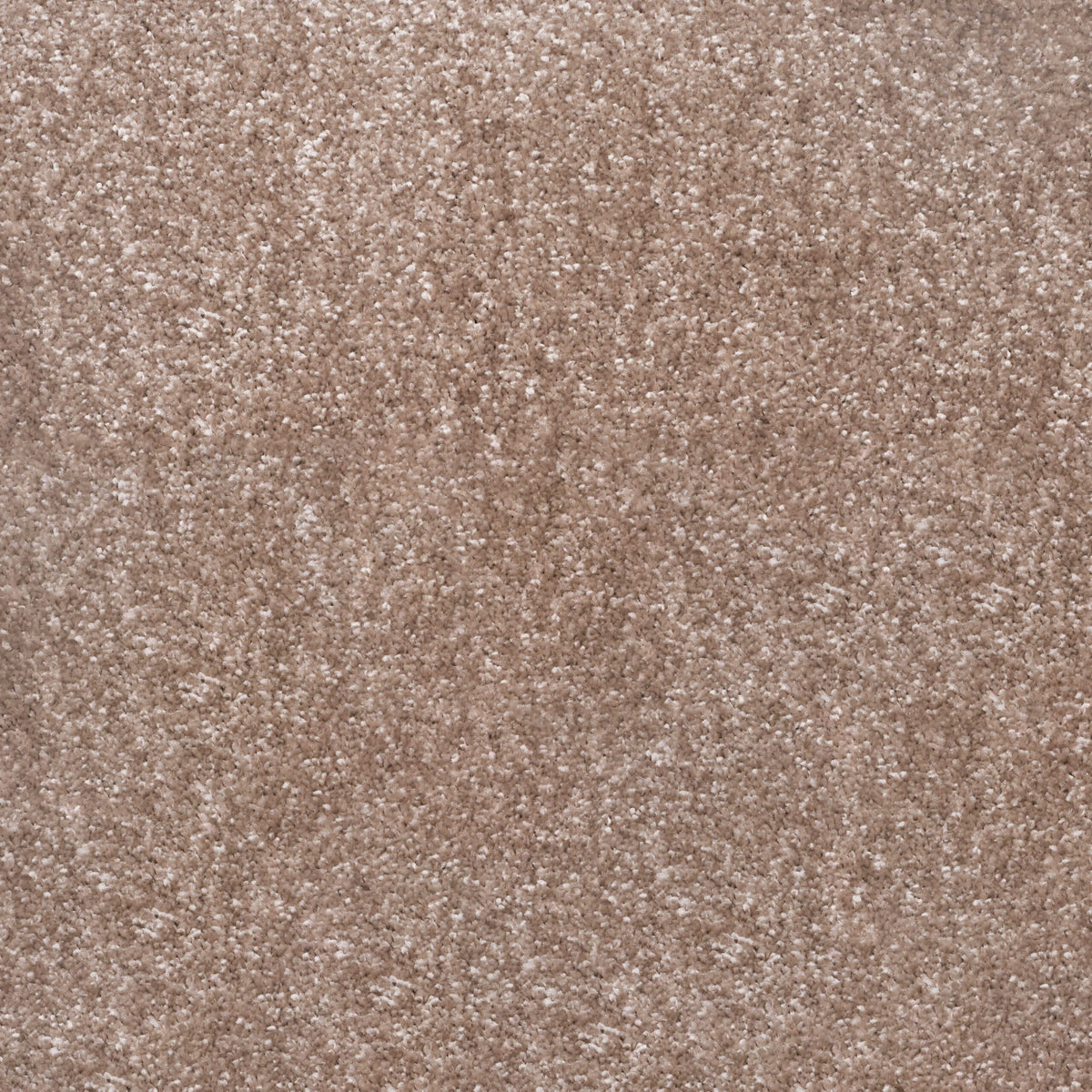 Noble Soft carpet - 09 Shell