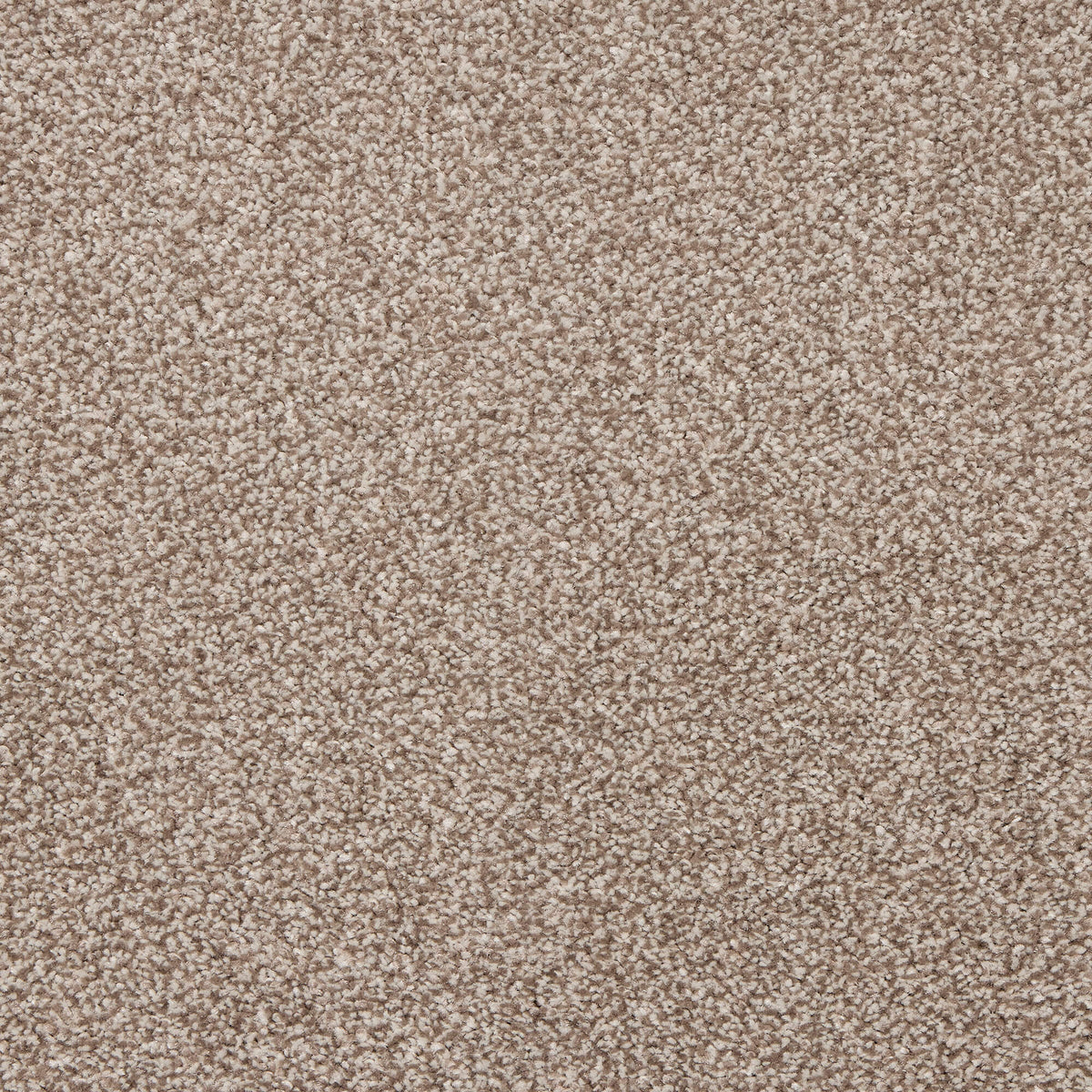 Noble Soft carpet - 11 Koala Mist