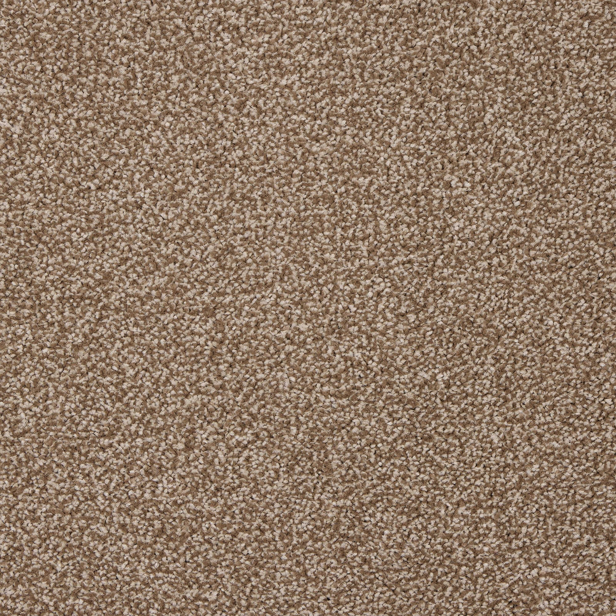 Noble Soft carpet - 13 Bark