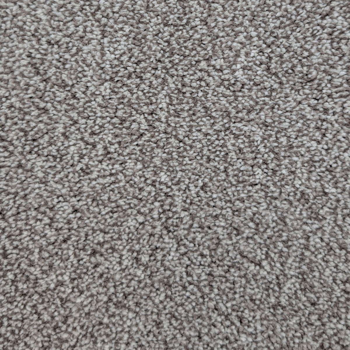 Caress Luxury carpet - 90 Mushroom