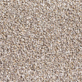 Shazam carpet - 92 Granola