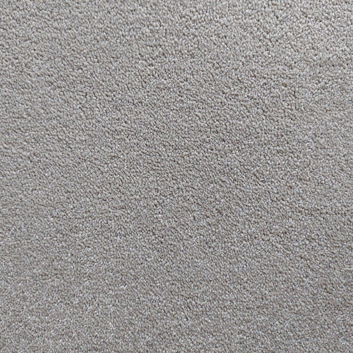 Bellevue carpet - 93 Mink