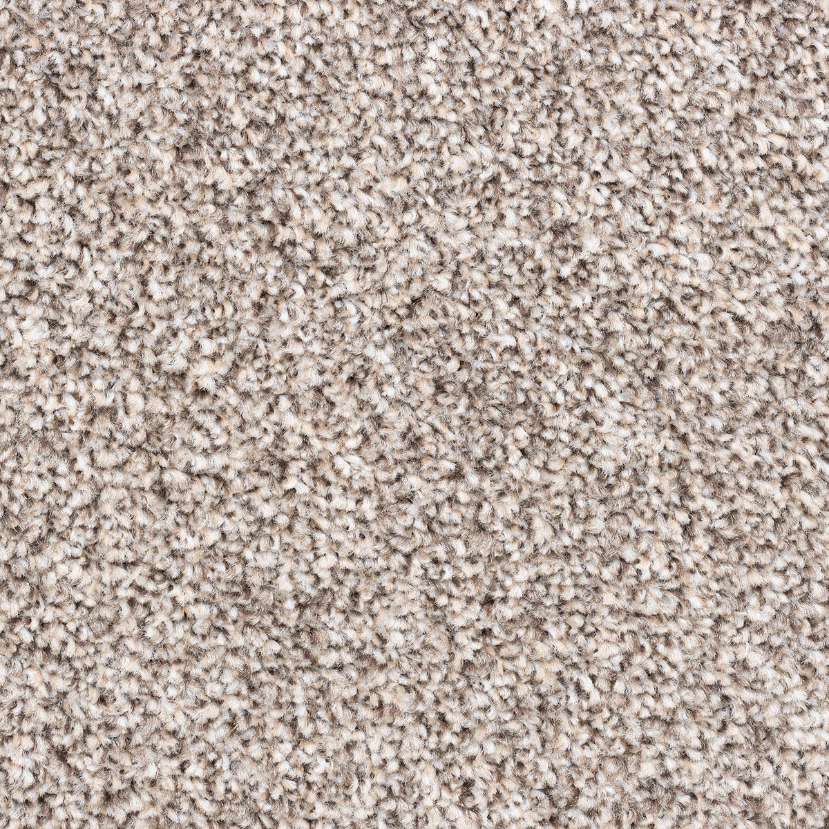 Modena carpet - 94 Chestnut