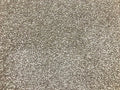 Signature Floors Fantasy carpet – Almond Cream