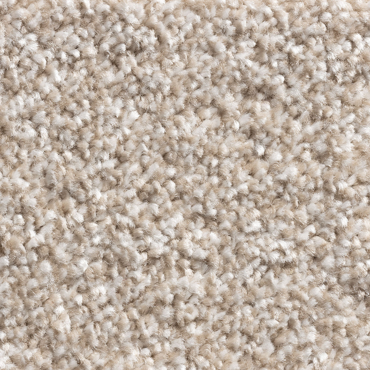 Allegro carpet – Biscuit
