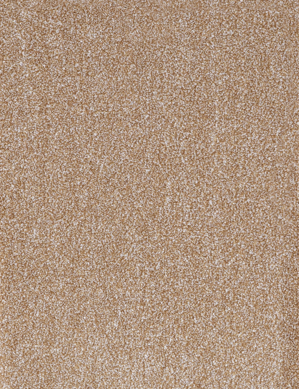 Alpha Elite carpet - Forest Sand