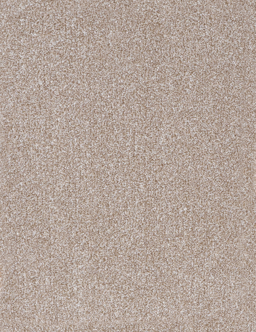 Alpha Elite carpet - Sensational Sand