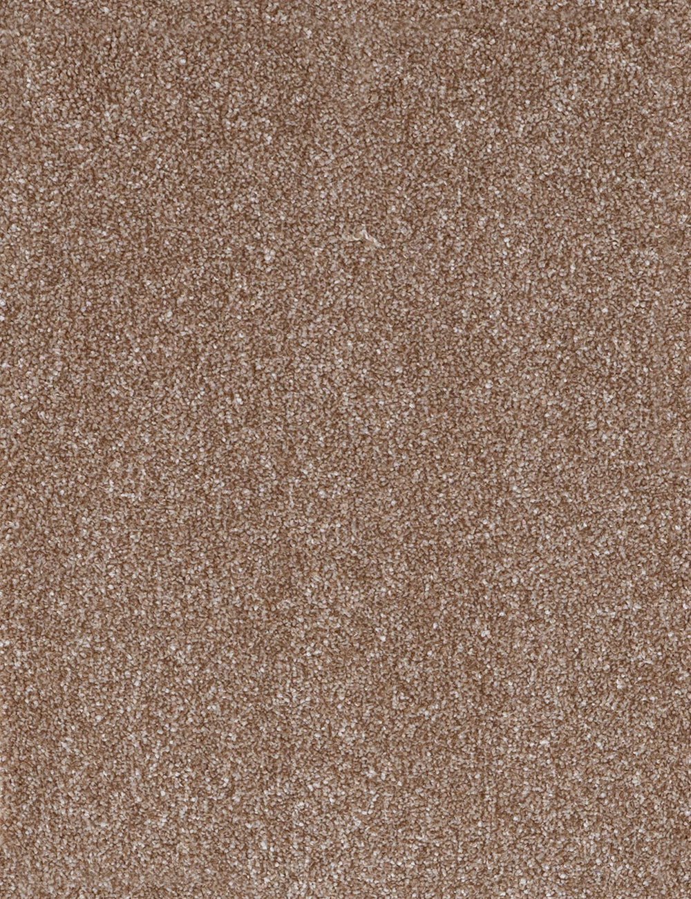 Alpha Elite carpet - Limited Latte