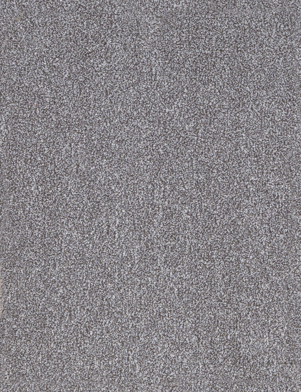 Alpha Elite carpet - Mineral Chic