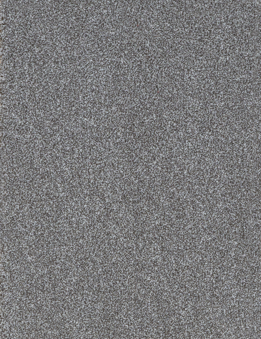 Alpha Elite carpet - Old Flax