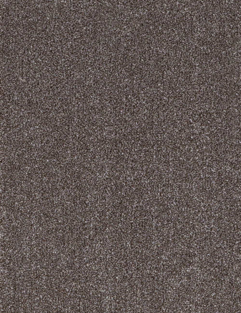 Alpha Elite carpet - Agate
