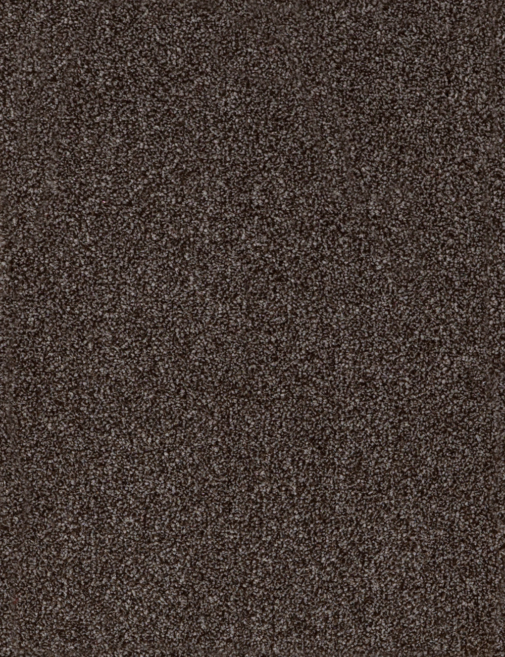 Alpha Elite carpet - Dark Forest