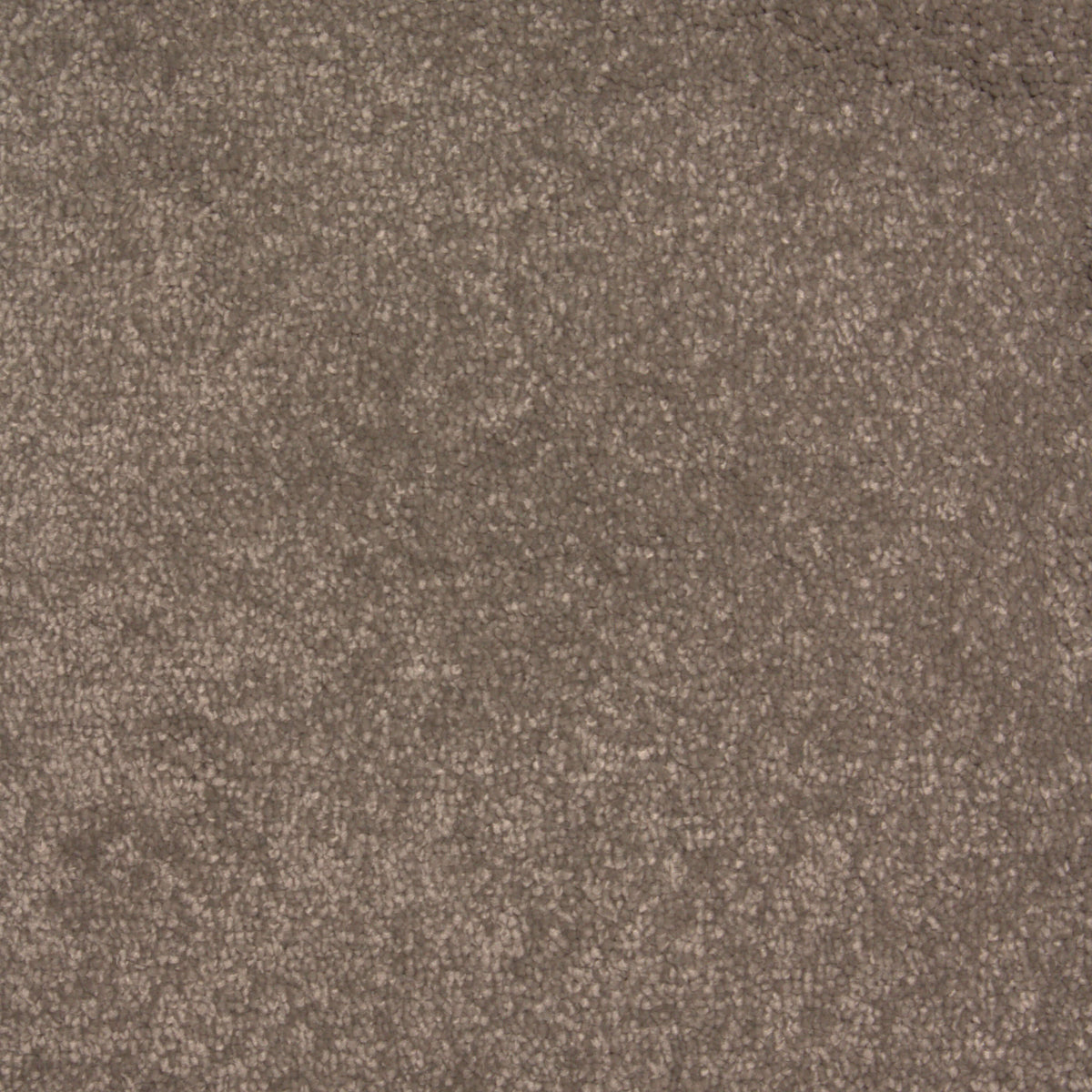 Phloor Lasting Memories Supreme carpet – Tiffany