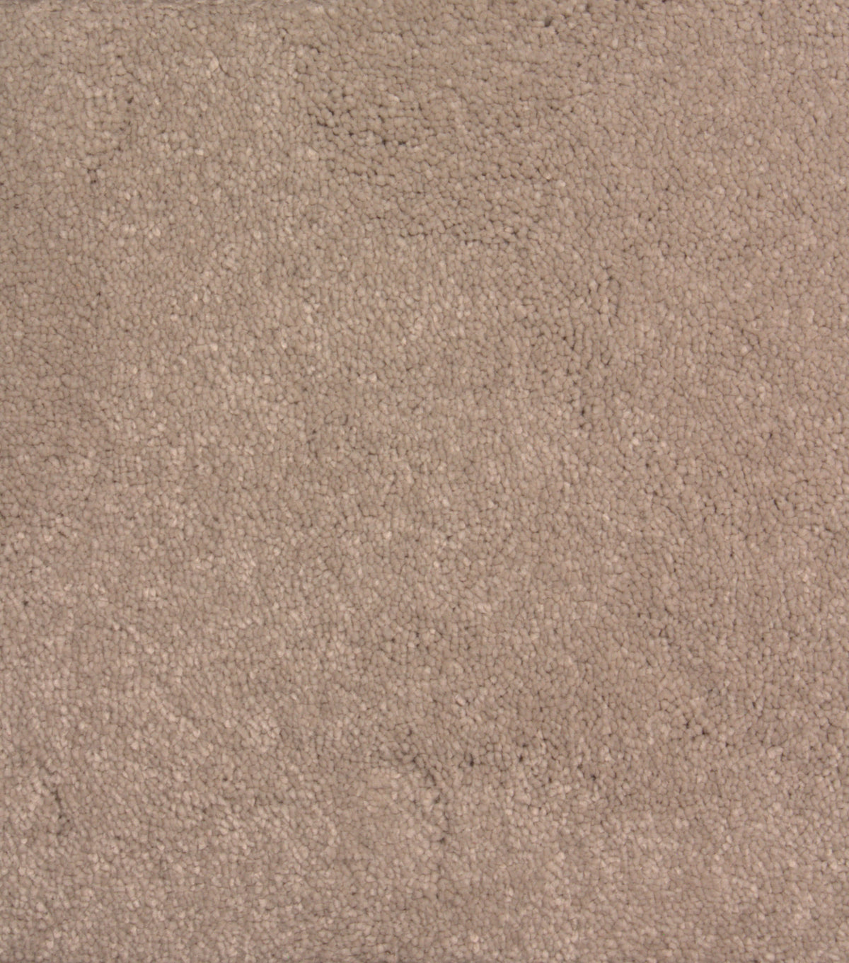 Phloor Lasting Memories Supreme carpet – Cashmere