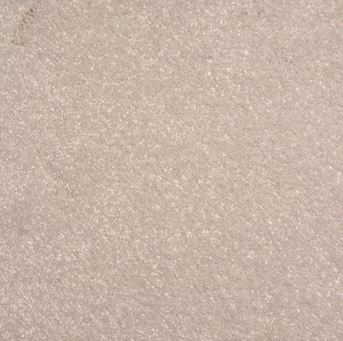 Phloor Lasting Memories Supreme carpet – Celeste