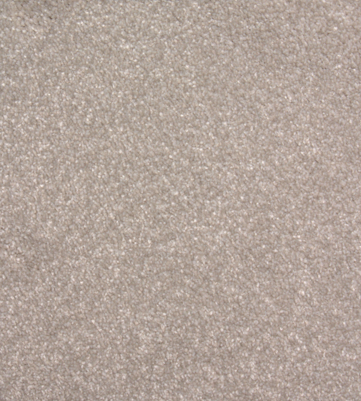 Phloor Lasting Memories Supreme carpet – Alphaca
