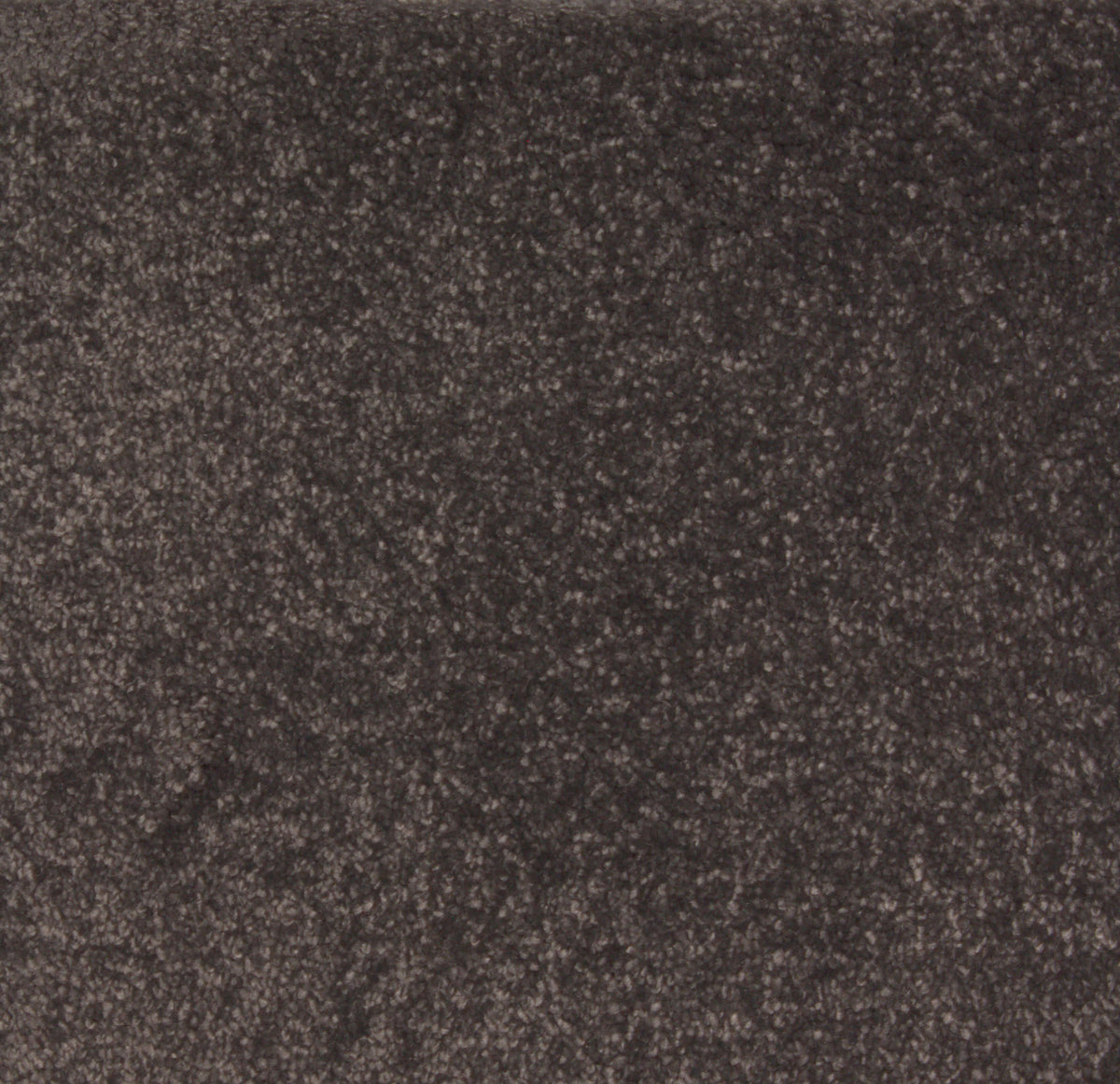 Phloor Lasting Memories Supreme carpet – Serpentine