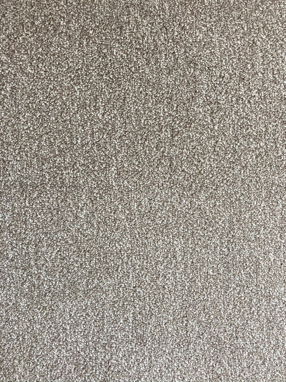 Phloor Paramount Action-Back Carpet – 11 Colours