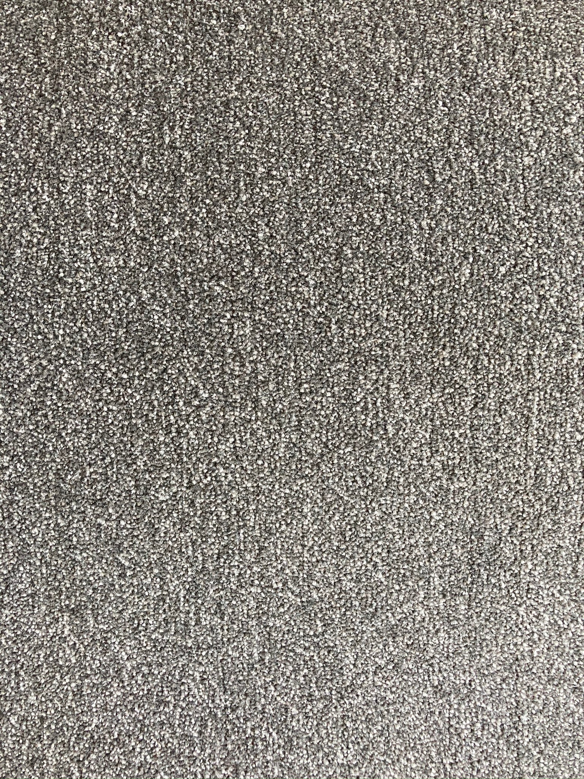 Phloor Paramount action-back carpet – Granite