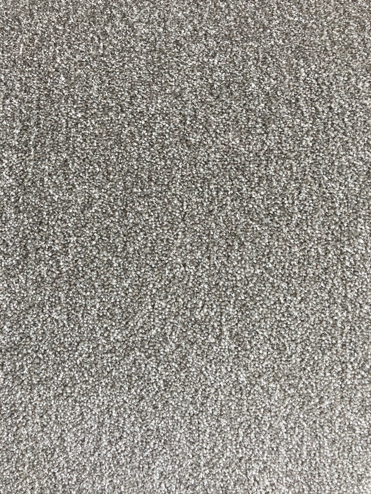 Phloor Paramount action-back carpet – Greystoke