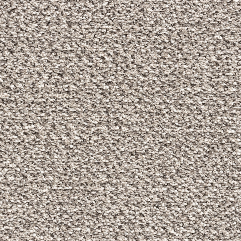 Finepoint Dimensions carpet - Fossil