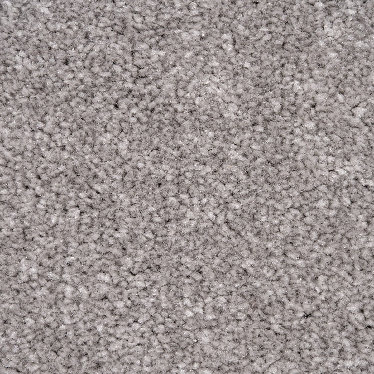 Belmont carpet - Greige