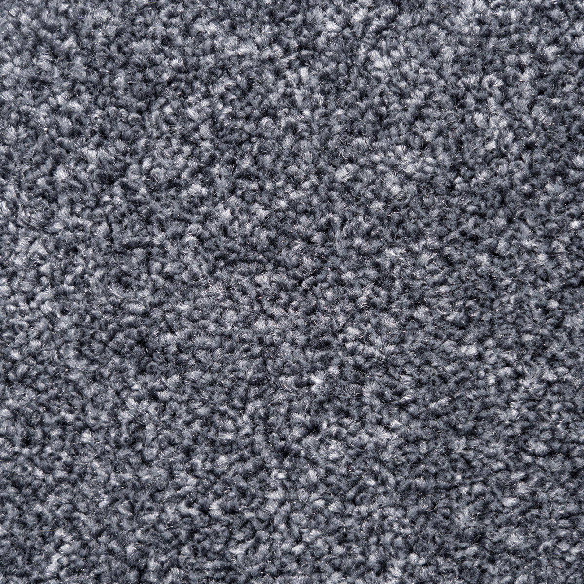 Belmont carpet - Midnight Cowboy