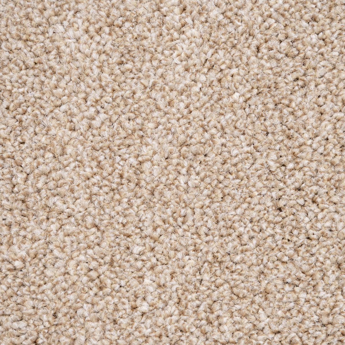 Belmont carpet - Oatmeal