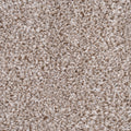 Belmont carpet - Bramble