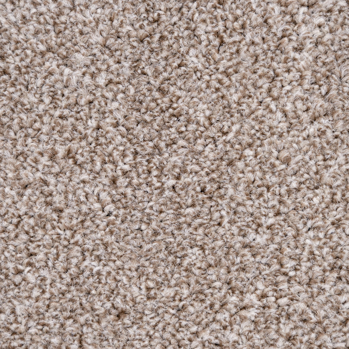 Belmont carpet - Bramble