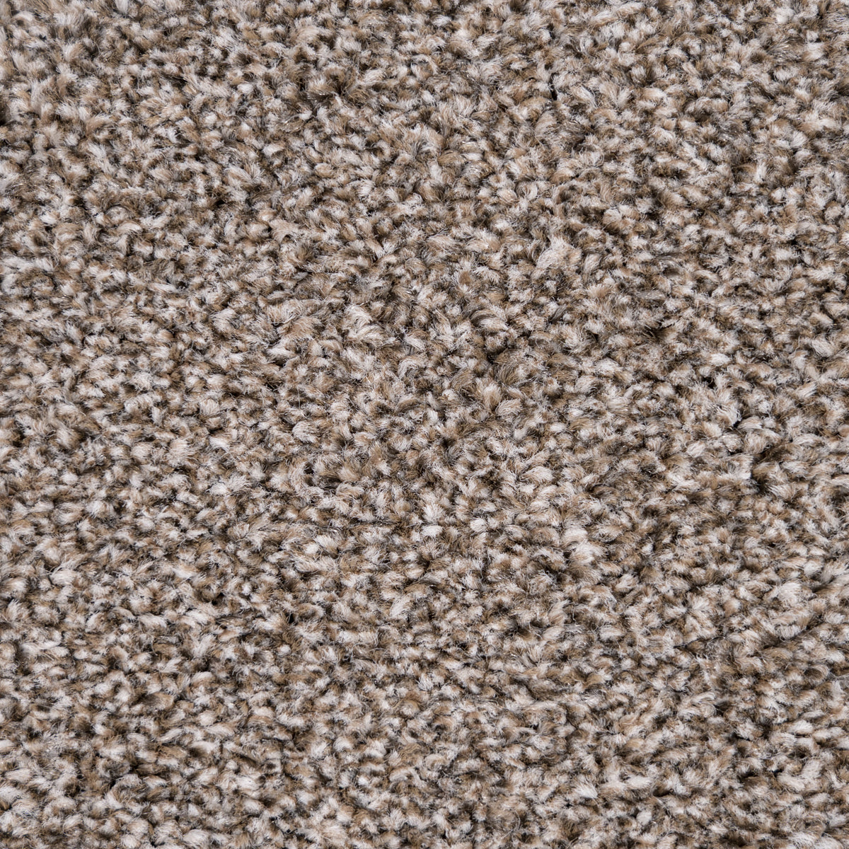 Belmont carpet - Choca-Mocha