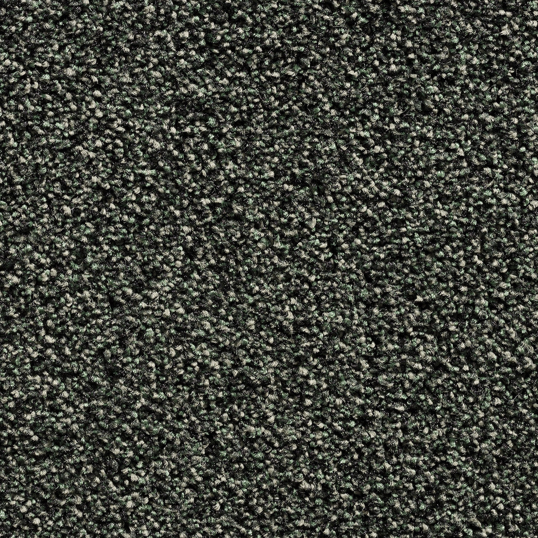 TAMPA BROADLOOM 4M PA CONTRACT – A/B