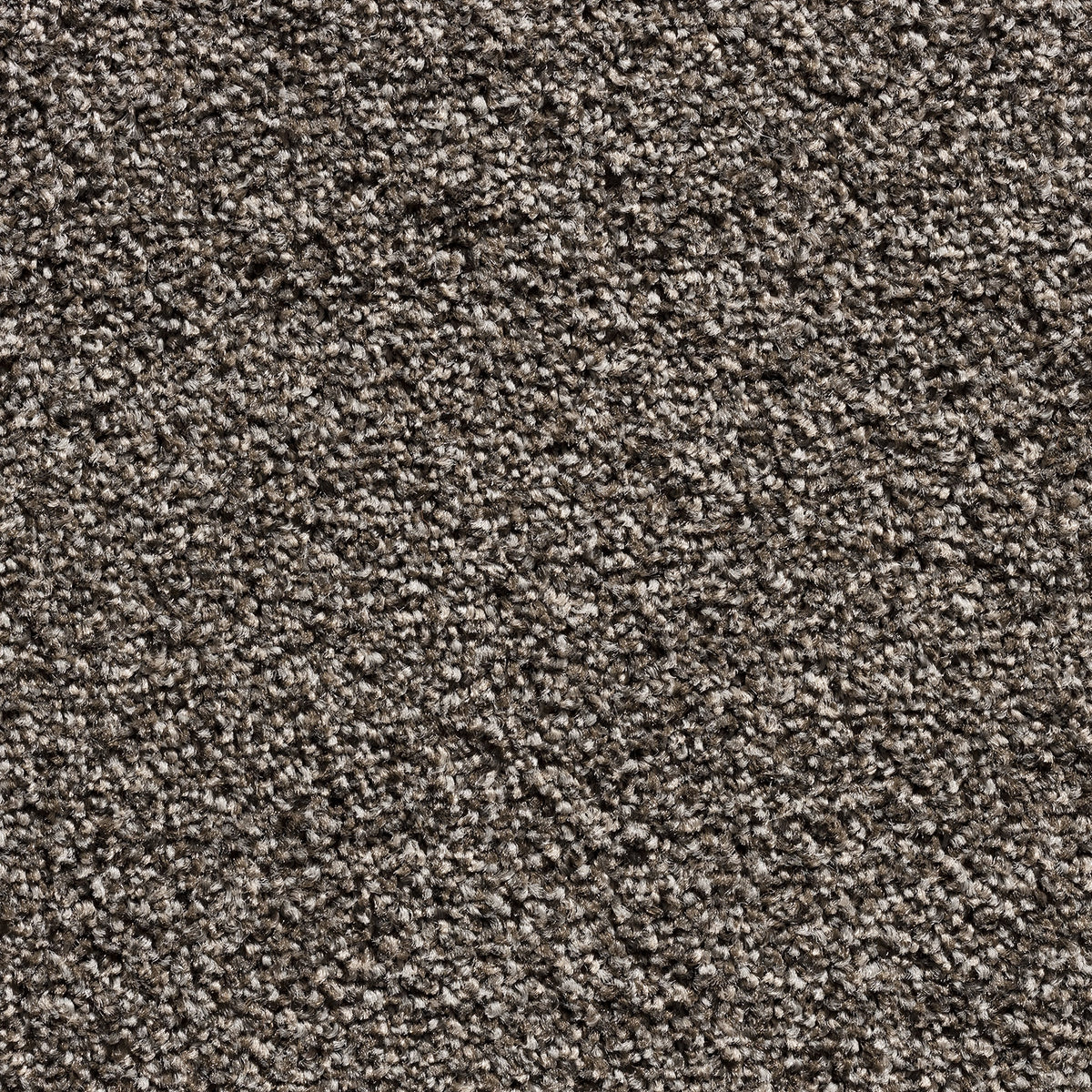 TAMPA BROADLOOM 4M PA CONTRACT – A/B carpet - 94