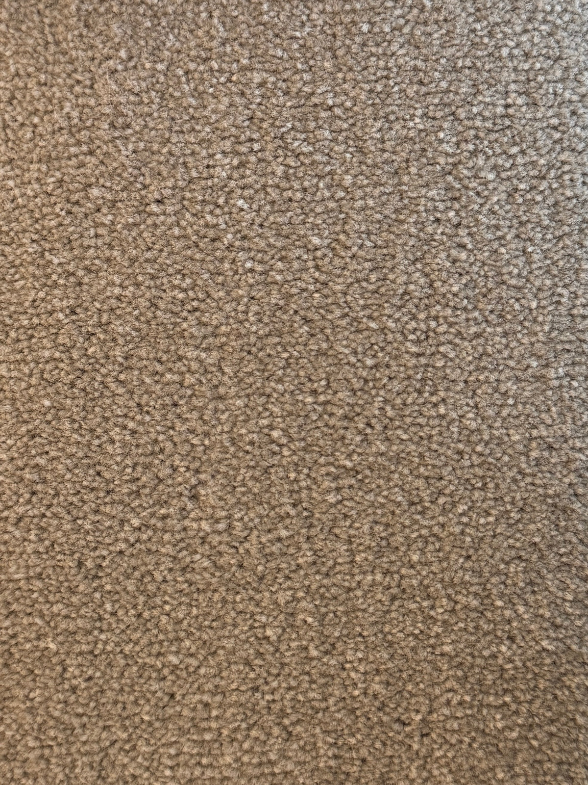 Bomonti carpet - Oatmeal