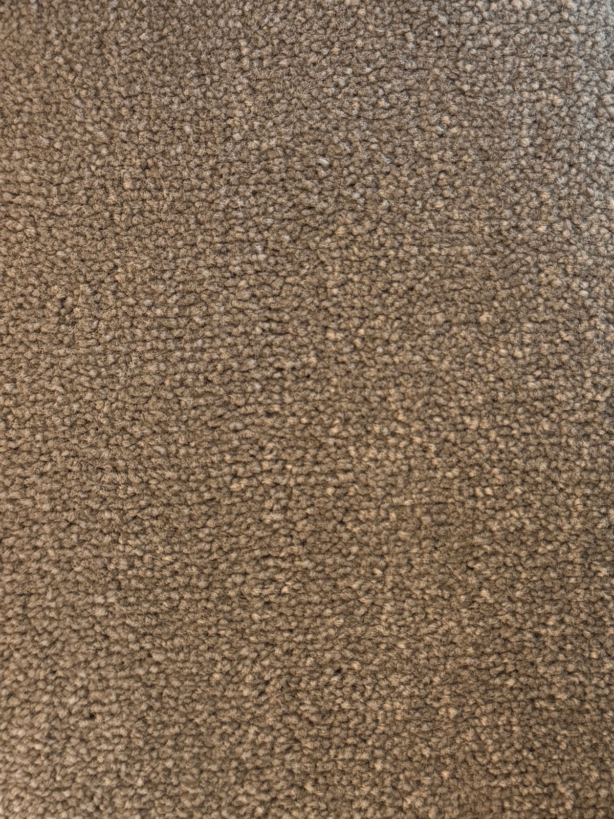 Bomonti carpet - Mushroom