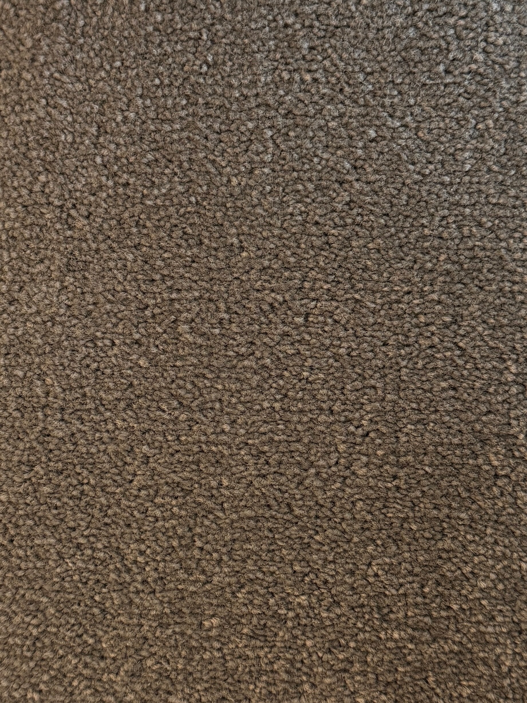 Bomonti carpet - Moleskin